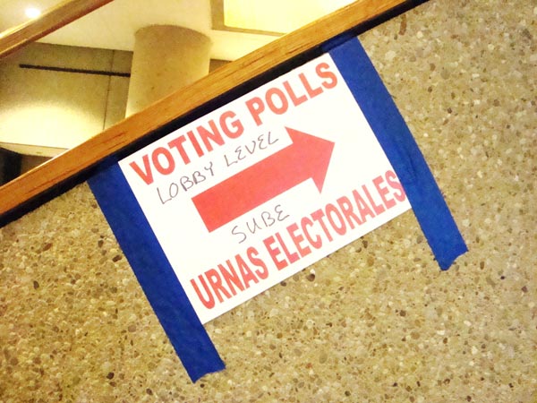 Elecciones noviembre 2010
