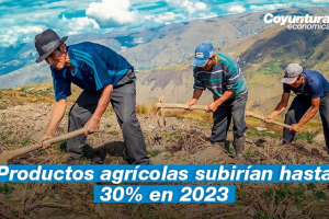 Los productos agrícolas peruanos subirían hasta 30% en 2023