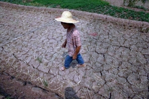 China afectada por la peor sequía de los últimos 50 años