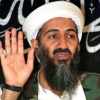 Osama Bin Laden Muerto