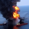 BP invertirá 1.000 millones para rehabilitar el ecosistema del Golfo de México 
