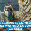 Compra de urea por parte del gobierno peruano